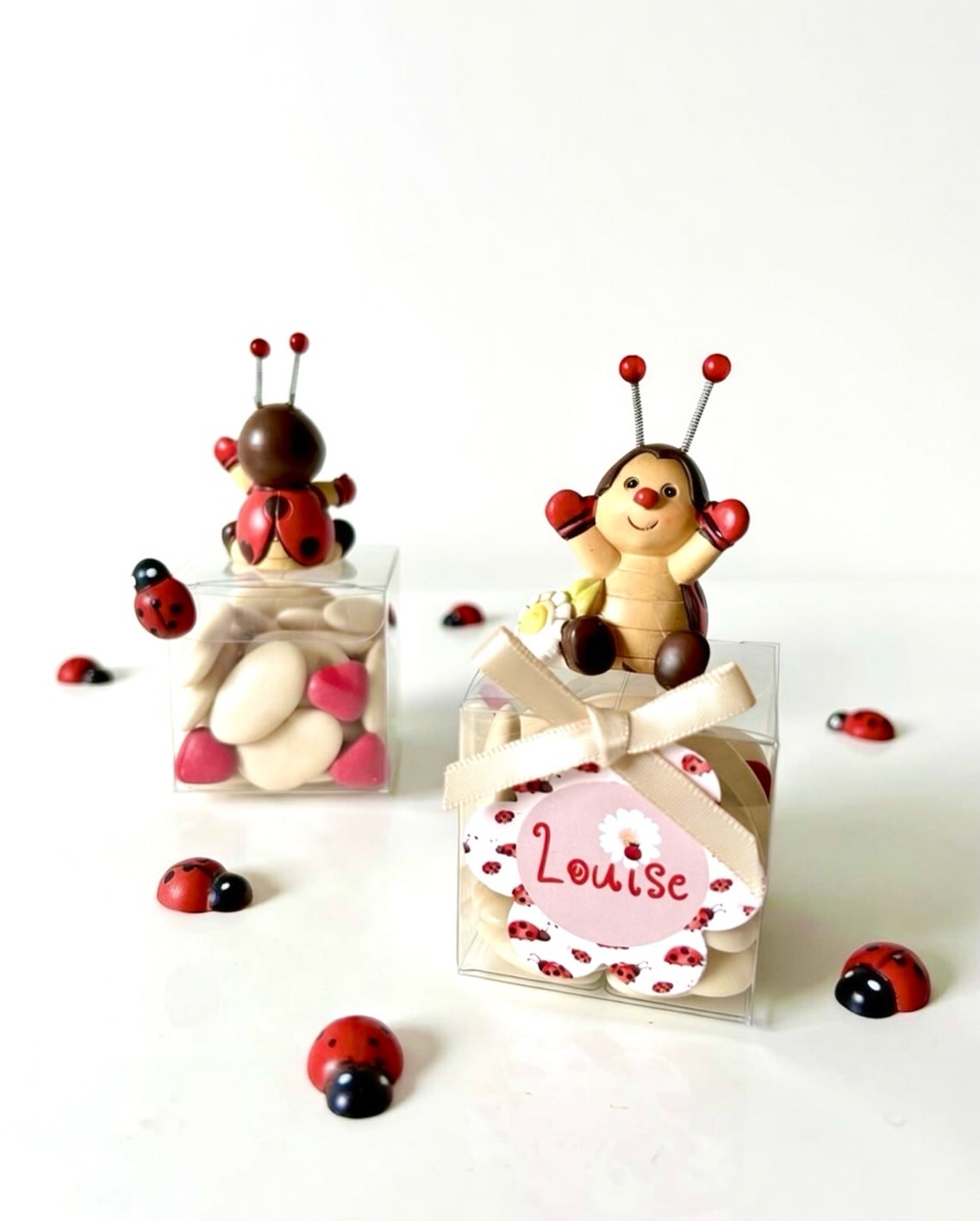 Dragées Anniversaire Coccinelle